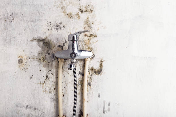 Water Damage Restoration in Horizon City, TX