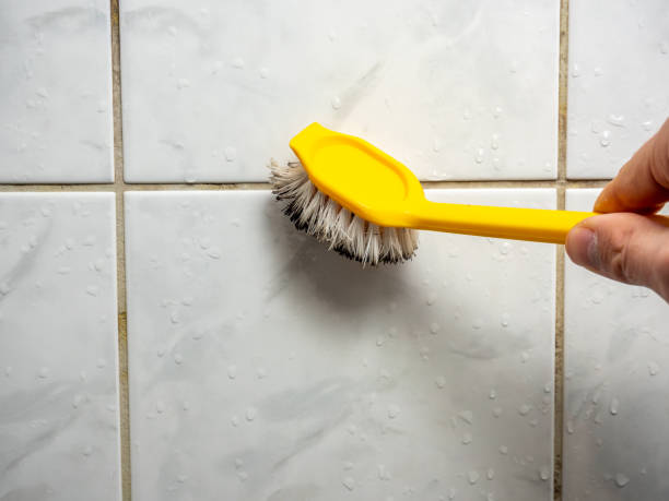 Best Black Mold Removal  in Horizon City, TX