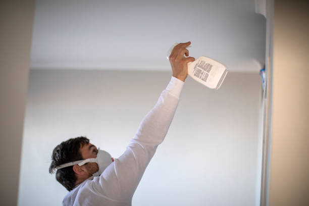Best Same-Day Mold Removal  in Horizon City, TX